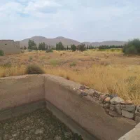 باغ انگور سر راه بردج فروش یا نعاوضه|فروش زمین و ملک کلنگی|شیراز, شهدای شهرک سعدی|دیوار