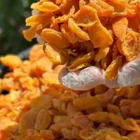 آلو بخارا اصیل خراسان ارسال جمعه به سراسر مشهد|خوردنی و آشامیدنی|مشهد, بهاران|دیوار