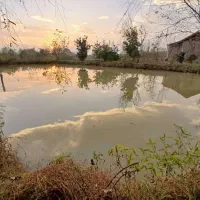 لاهیجان-فروش-یا-معاوضه-زمین-2-هکتاری