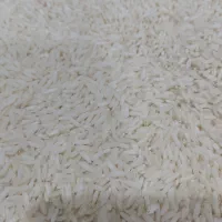 برنج هاشمی درجه یک آستانه اشرفیه