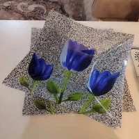 سینی مجلسی و شیشه ای|ظروف سرو و پذیرایی|تبریز, |دیوار