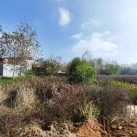 زمین 240 متر با پروانه دریاسر (کوچه میر اشرفی)