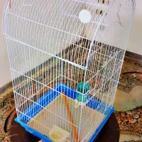 قفس کاسکویی بزرگ|لوازم جانبی حیوانات|بهشهر, |دیوار