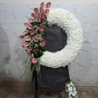 گل طبیعی تاج جام تاجگل دایره ای هلال درباری شبکه|گل و گیاه طبیعی|تهران, منیریه|دیوار