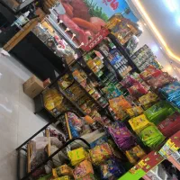 موقعیت شغلی