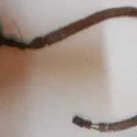 تسبیح دست ساز از هسته خرما به شکل مار