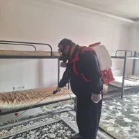 سمپاشی تضمینی ارگانیک حشرات موذی شمال|خدمات نظافت|گرگان, |دیوار