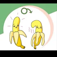 پایان مشکلات اقایان