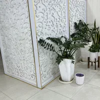 تجهیزات و وسایل آرایشگاهی|آرایشگاه و سالن‌های زیبایی|تاکستان, |دیوار