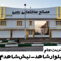 نیروی کار بلوکه زن