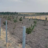 زمین ۹۷۳ متری چسبیده به بافت روستای صفرخواجه.