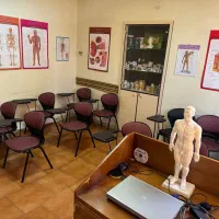 اجاره جواز فنی و حرفه ای‌نمایندگی پردیس بین الملل|خدمات آموزشی|تهران, پامنار|دیوار