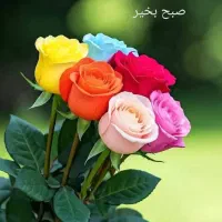 یه لنگ گوشواره گم کردم