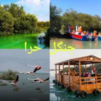 گشت شاد قشم با تویوتا هایلوکس و ترانسفر فرودگاهی|تور و چارتر|قشم, |دیوار