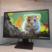 مانیتور 24 اینچ IPS برند DELL دیسپلی پورت