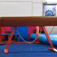 برا اولین بار درسبزوار باشگاه تخصصی ژیمناستیک آرین|خدمات آموزشی|سبزوار, دانشگاه آزاد|دیوار