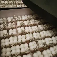 گیفت عروسی کودک‌