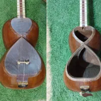 پوست پرده تار