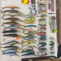 لوازم ماهیگیری|ماهیگیری|تهران, اباذر|دیوار