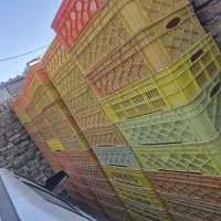 سبد مرغی