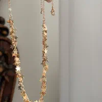 یک عدد گردنی ستاره بسیار زیبا نونو|بدلیجات|کرج, گلشهر|دیوار