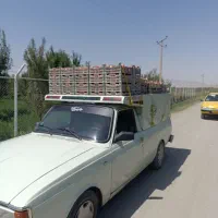 پیکان وانت کرایه|خدمات حمل و نقل|نقده, |دیوار
