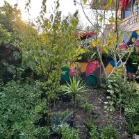 ویلا140متر بنا90متر شهرساحلی خشکبیجار/آناملک/کد706|فروش خانه و ویلا|رشت, گلباغ نماز|دیوار