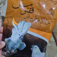 سرلاک عروس هلندی|لوازم جانبی حیوانات|شیراز, شهرک فرزانگان|دیوار
