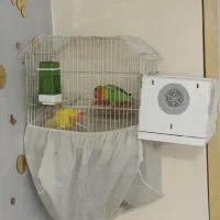 طوطی برزیلی مولد