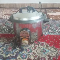 پلوپزبرقی سالم