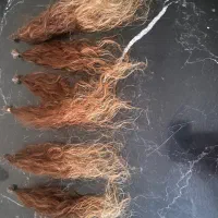 یک دسته موی طبیعی اکستنشن فر آمبره ۱۷۰ شاخه قد ۴۰|آرایشی، بهداشتی، درمانی|پردیس, فاز ۹|دیوار