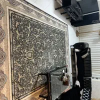 فرش