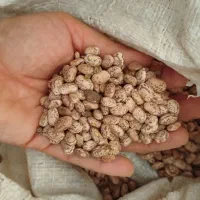 لوبیا چیتی تمیز