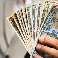 دلار تزیینی