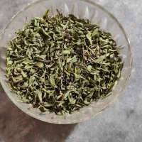 آویشن کوهی