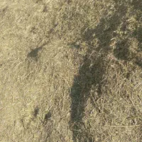یونجه خرد شده