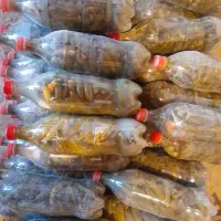 خیارشور ترد و خوشمزه