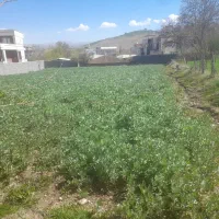 زمین