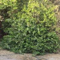 فروش دامداری در مجتمع دامداری بردغان بندرلنگه|فروش دفتر صنعتی، کشاورزی، تجاری|بندرلنگه, |دیوار