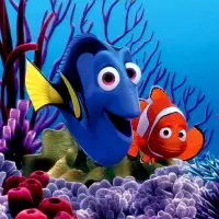 سالن فروش انواع ماهی و آکواریوم