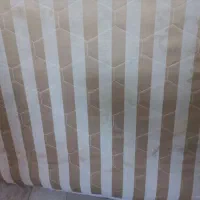 تشک مارک رویا اصل