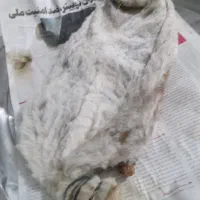 خیگ تمیز وخوش بو|صنایع دستی و سایر لوازم تزئینی|یاسوج, |دیوار