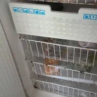 یخچال فریزر|یخچال و فریزر|کلاردشت, |دیوار