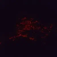 تعدادی اچار گم شده