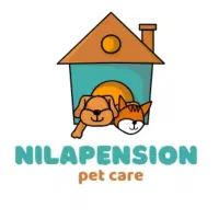 نگهداری پت دلبند شما