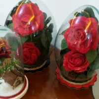 تونگگلمصنوعی|گل مصنوعی|قدس, شهرقدس|دیوار