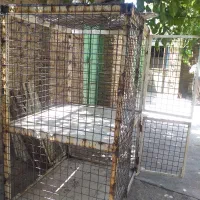 قفس مرغ و خروس اهنی|لوازم جانبی حیوانات|بوکان, |دیوار