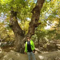 تورهای ایرانگردی و جهانگردی|تور و چارتر|شاهینشهر, سعدی جنوبی|دیوار