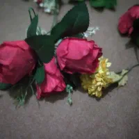 گل محمدی|گل مصنوعی|سنندج, |دیوار