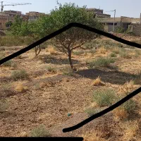 زمین-160متری-شمالی